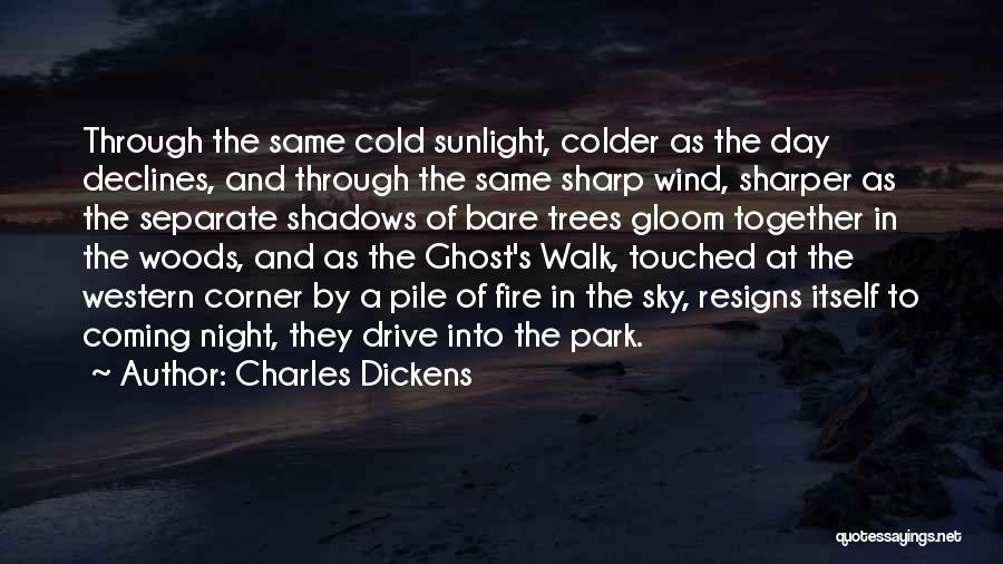 A Cold Night Quotes By Charles Dickens