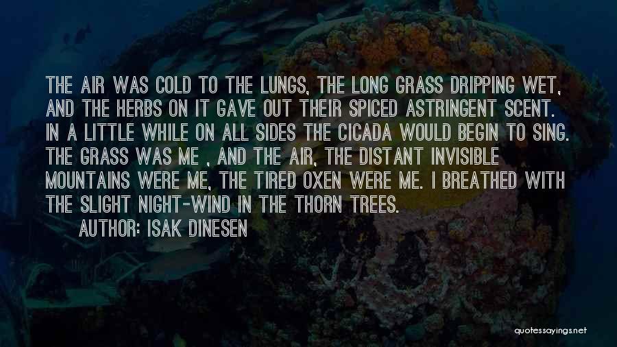 A Cold Night Quotes By Isak Dinesen