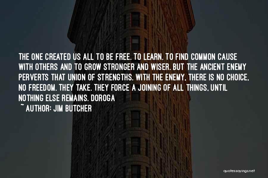 A Common Enemy Quotes By Jim Butcher