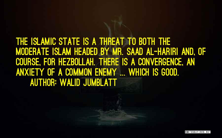 A Common Enemy Quotes By Walid Jumblatt