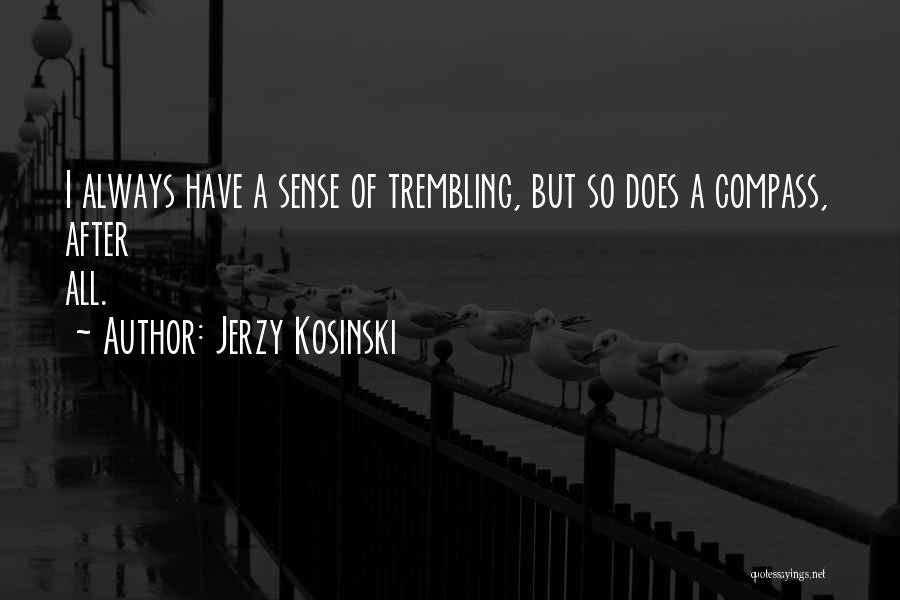 A Compass Quotes By Jerzy Kosinski