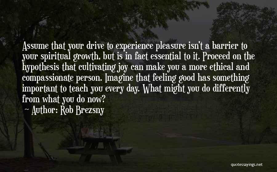 A Compassionate Person Quotes By Rob Brezsny
