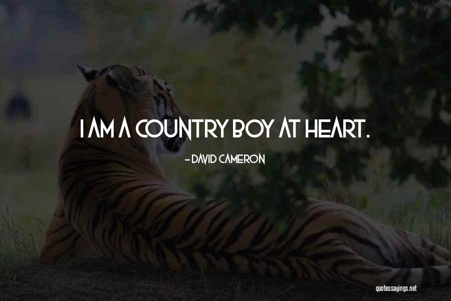 A Country Boy Quotes By David Cameron A Country Boy Quotes By David Cameron