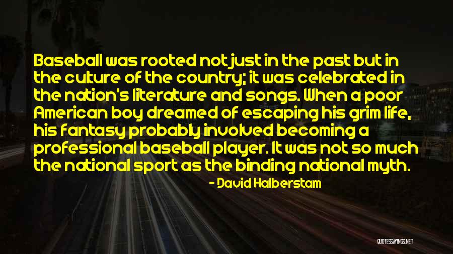 A Country Boy Quotes By David Halberstam A Country Boy Quotes By David Halberstam