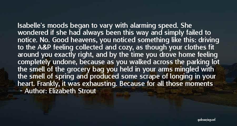 A Cozy Home Quotes By Elizabeth Strout