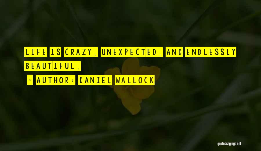 A Crazy Beautiful Life Quotes By Daniel Wallock