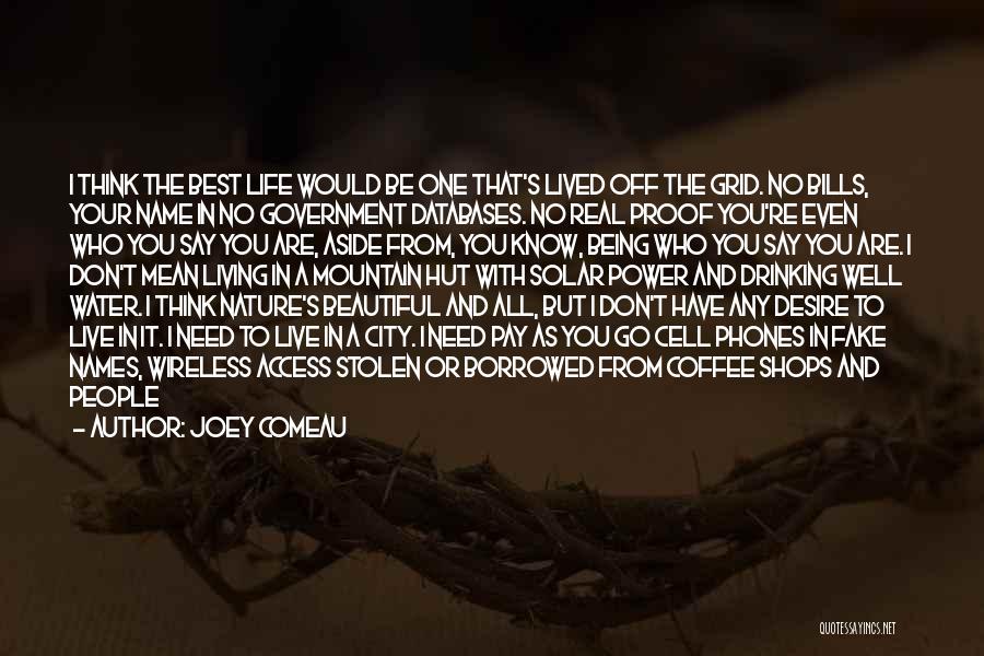 A Crazy Beautiful Life Quotes By Joey Comeau