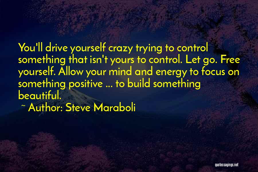 A Crazy Beautiful Life Quotes By Steve Maraboli