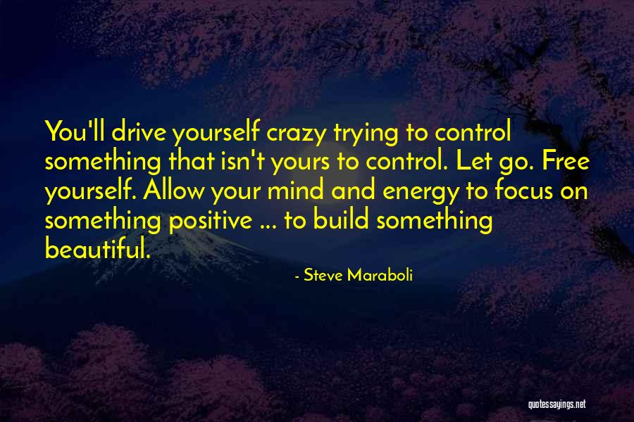 A Crazy Beautiful Life Quotes By Steve Maraboli