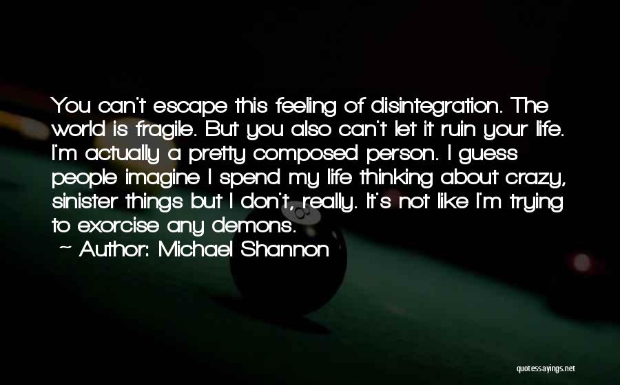 A Crazy Life Quotes By Michael Shannon