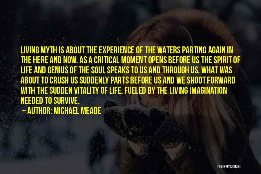 A Critical Spirit Quotes By Michael Meade