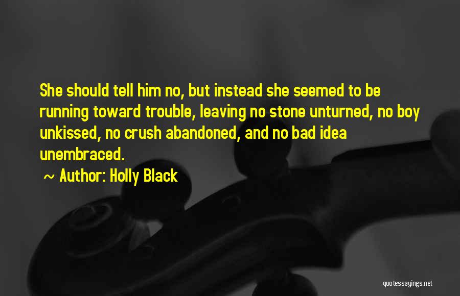 A Crush On A Boy Quotes By Holly Black