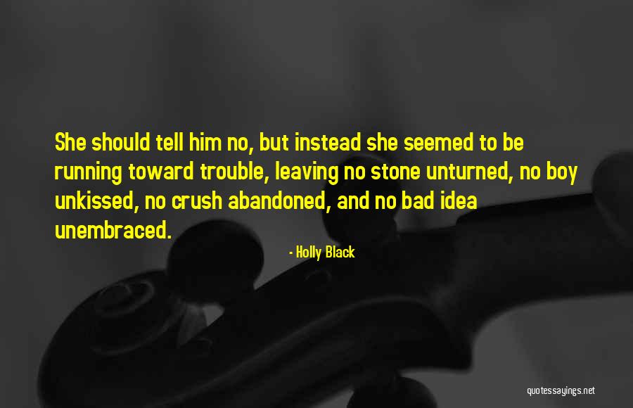 A Crush On A Boy Quotes By Holly Black