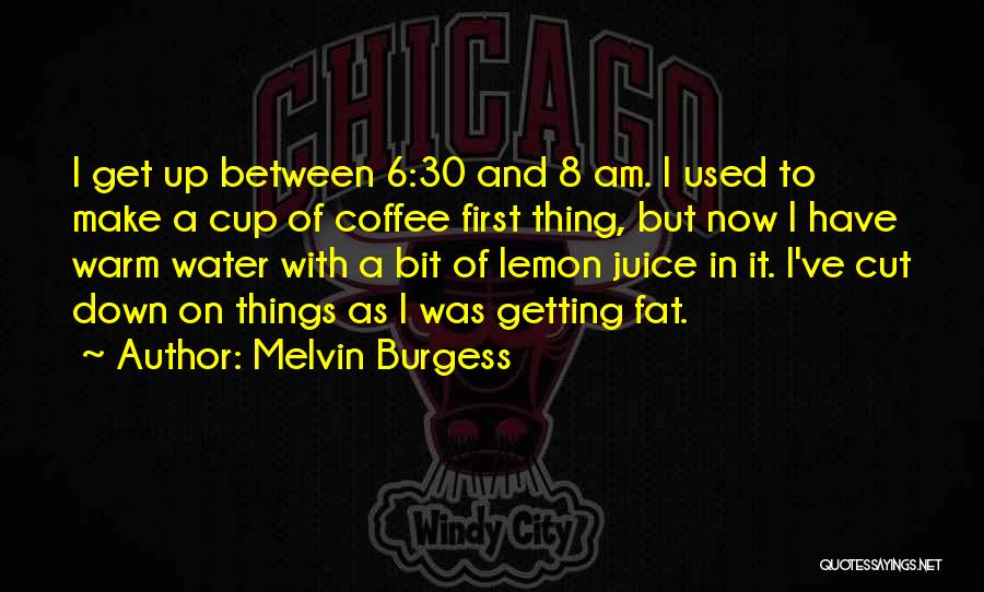 A Cup Of Coffee Quotes By Melvin Burgess