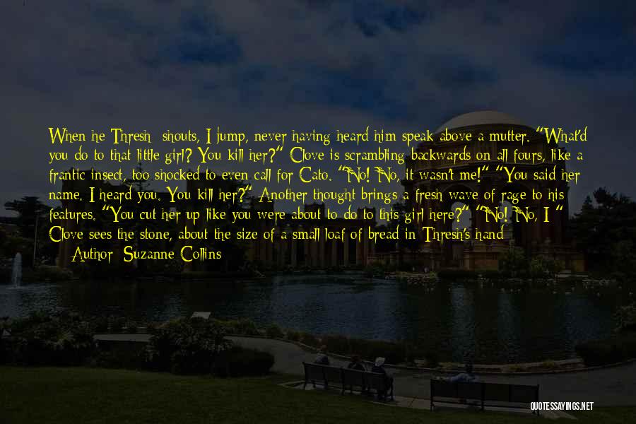 A Cut Above Quotes By Suzanne Collins