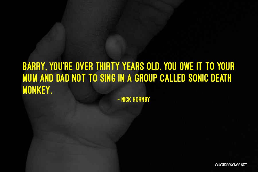 A Dad's Death Quotes By Nick Hornby