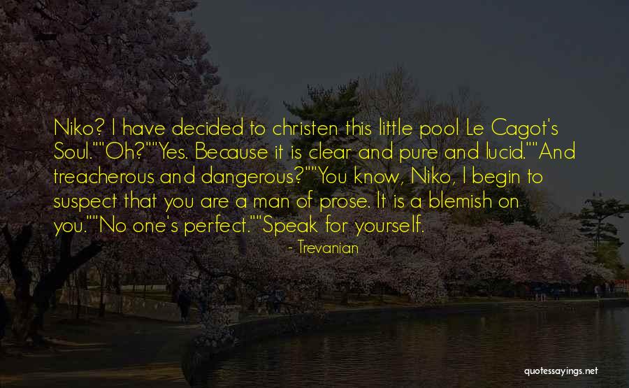 A Dangerous Man Quotes By Trevanian