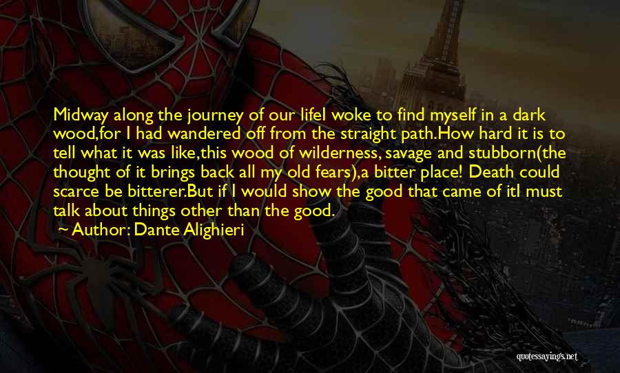 A Dark Path Quotes By Dante Alighieri