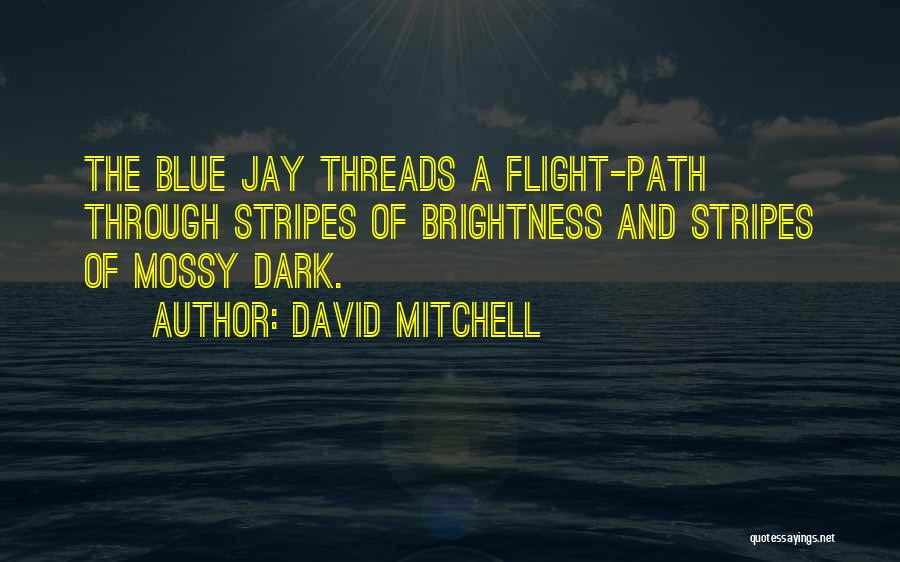 A Dark Path Quotes By David Mitchell