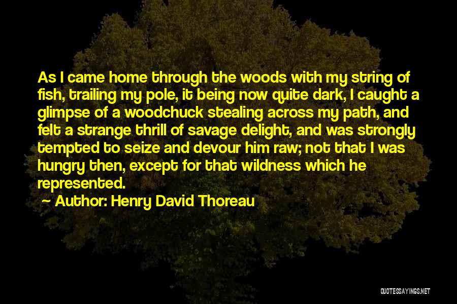 A Dark Path Quotes By Henry David Thoreau