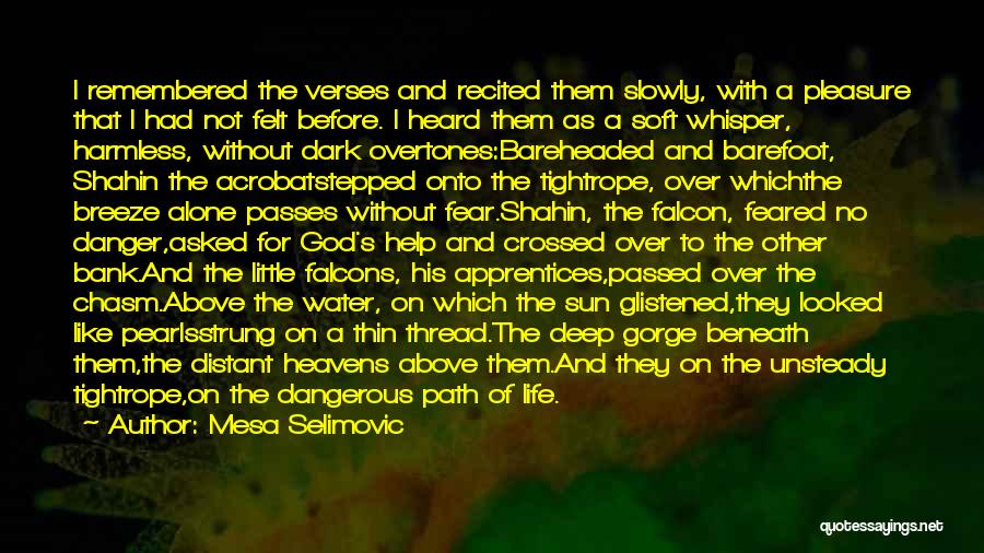 A Dark Path Quotes By Mesa Selimovic