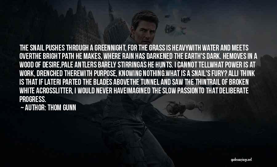 A Dark Path Quotes By Thom Gunn