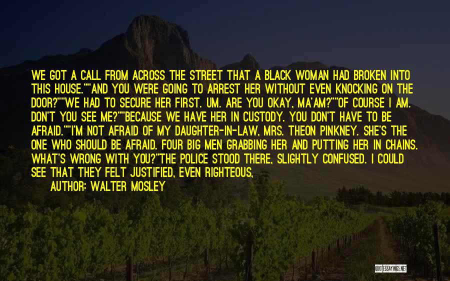 A Daughter In Law Quotes By Walter Mosley