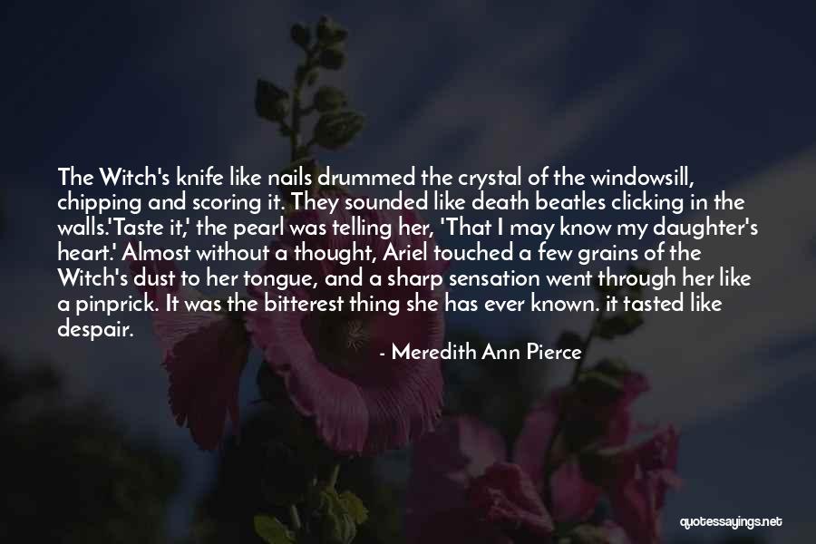 A Daughter's Death Quotes By Meredith Ann Pierce