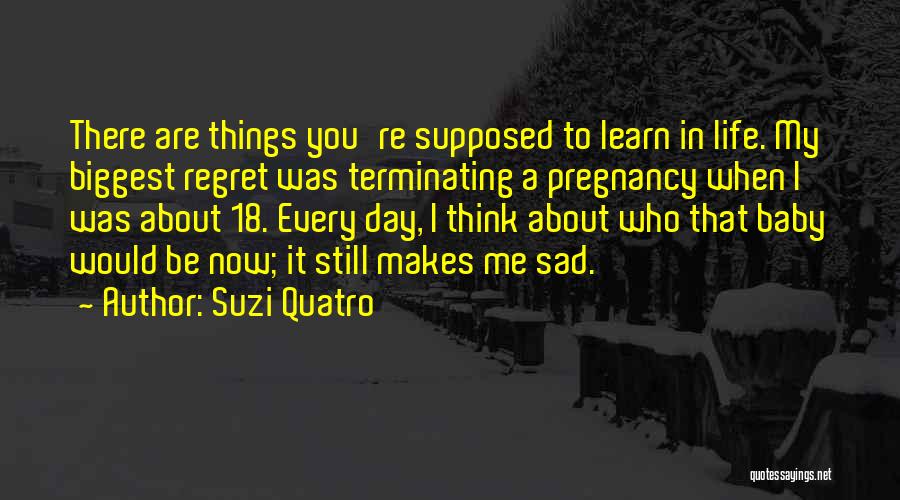 A Day In My Life Quotes By Suzi Quatro