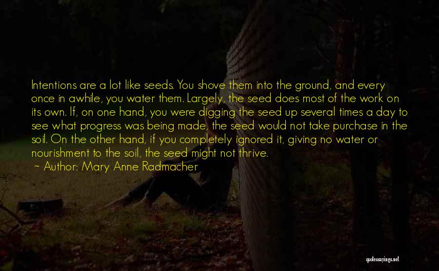 A Day Like No Other Quotes By Mary Anne Radmacher