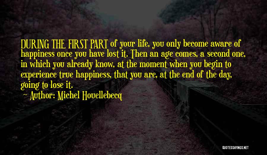 A Day Of Happiness Quotes By Michel Houellebecq