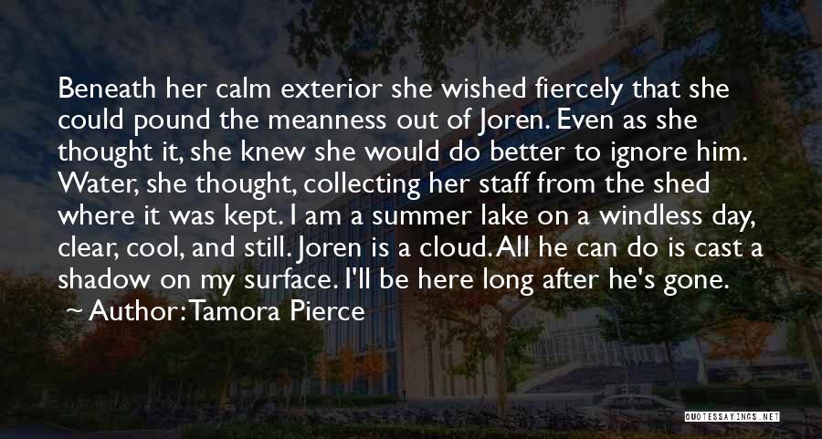 A Day On The Lake Quotes By Tamora Pierce