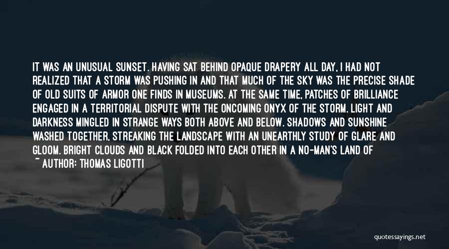 A Day On The Lake Quotes By Thomas Ligotti