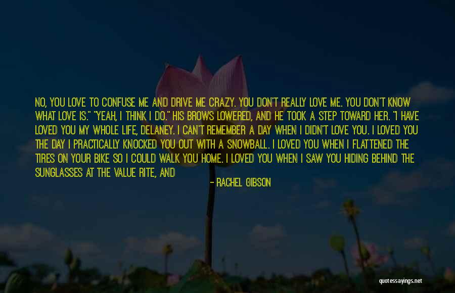 A Day To Remember Quotes By Rachel Gibson