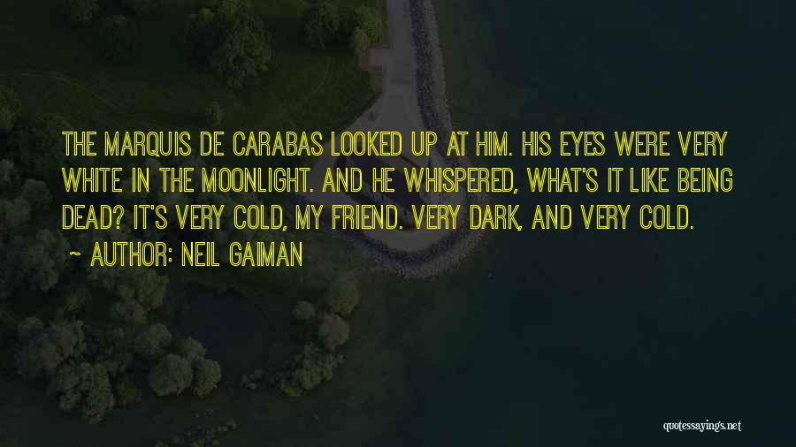 A Dead Best Friend Quotes By Neil Gaiman