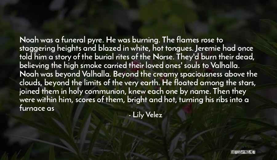 A Dead Loved One Quotes By Lily Velez