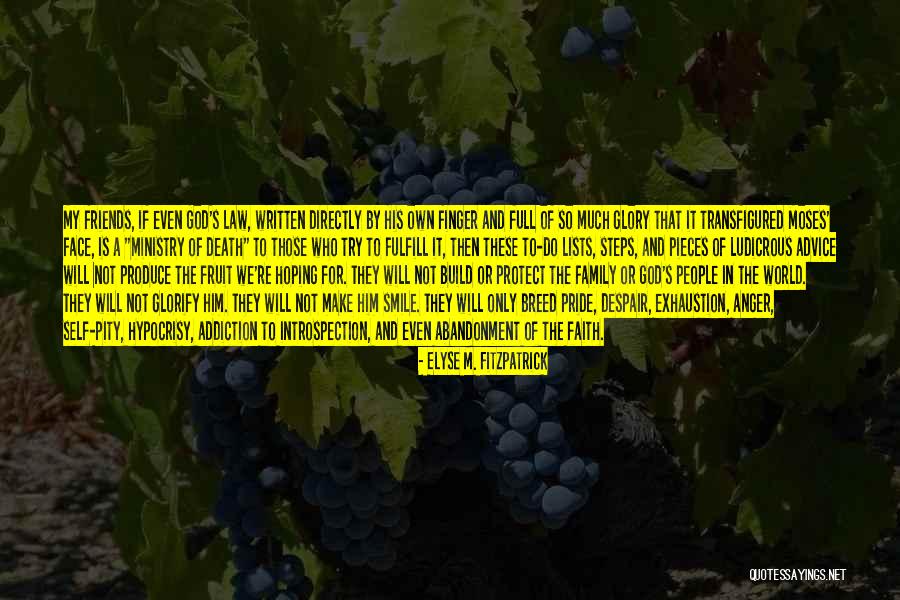 A Death In The Family Quotes By Elyse M. Fitzpatrick A Death In The Family Quotes By Elyse M. Fitzpatrick