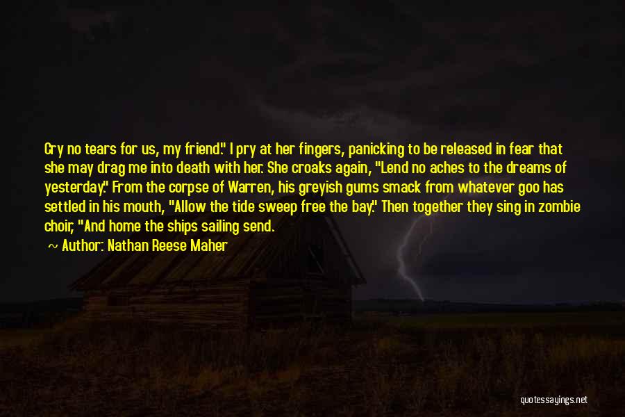 A Death Of A Best Friend Quotes By Nathan Reese Maher