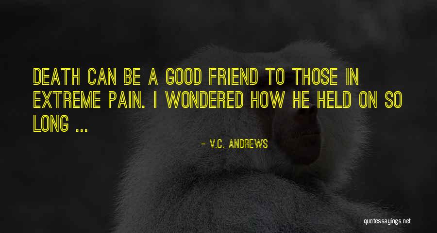 A Death Of A Best Friend Quotes By V.C. Andrews