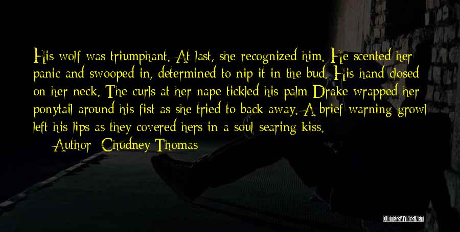 A Determined Soul Quotes By Chudney Thomas