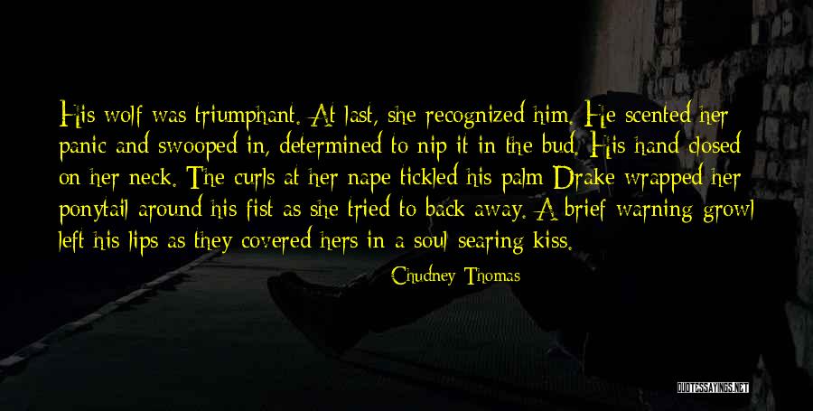 A Determined Soul Quotes By Chudney Thomas A Determined Soul Quotes By Chudney Thomas