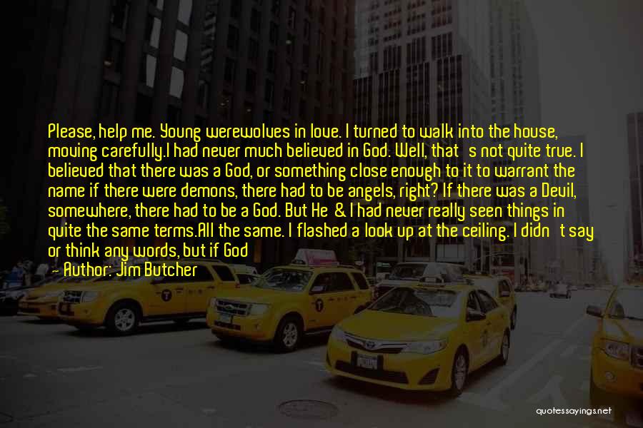 A Devil Quotes By Jim Butcher