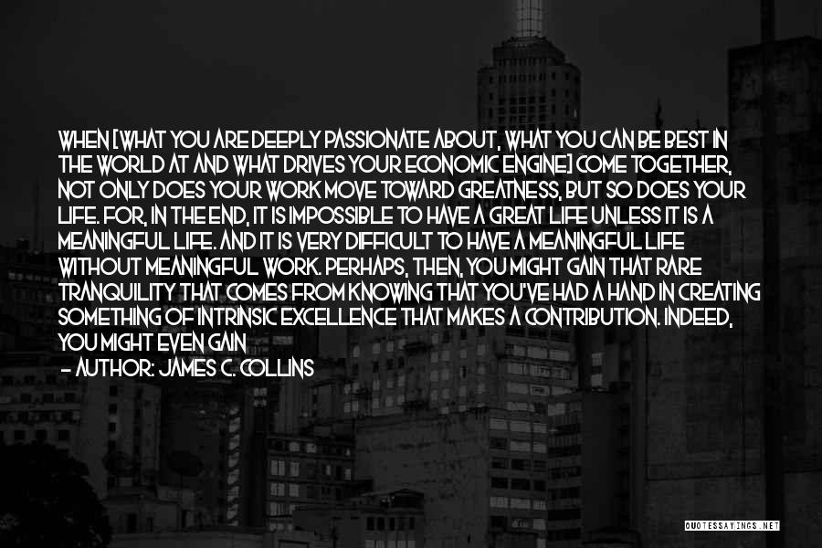 A Difficult Time In Life Quotes By James C. Collins