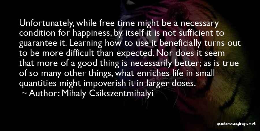 A Difficult Time In Life Quotes By Mihaly Csikszentmihalyi