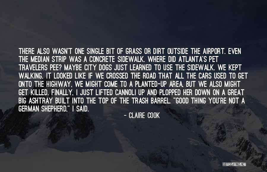 A Dirt Road Quotes By Claire Cook A Dirt Road Quotes By Claire Cook