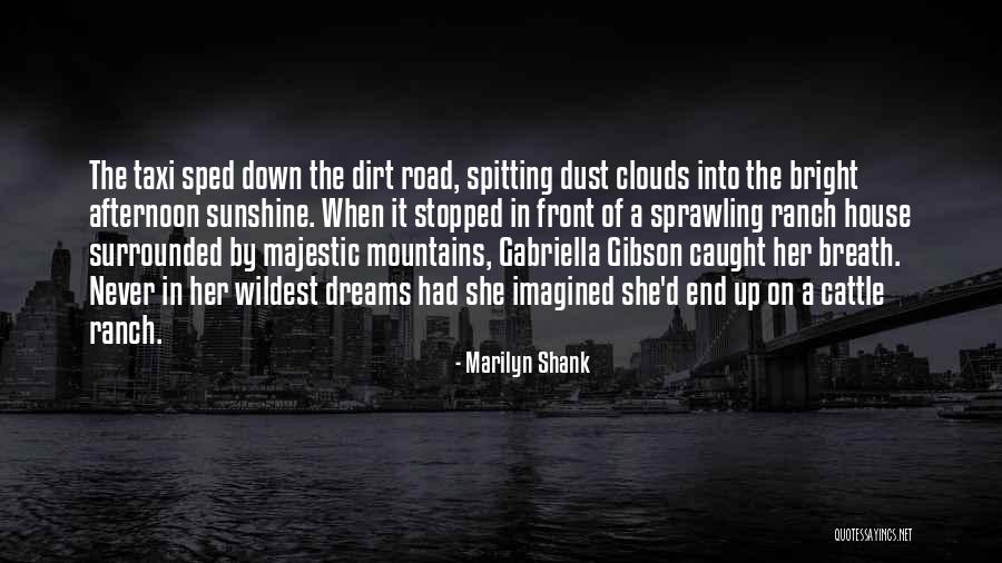 A Dirt Road Quotes By Marilyn Shank