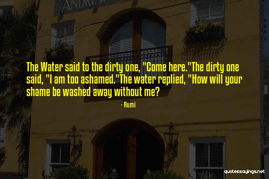 A Dirty Shame Quotes By Rumi