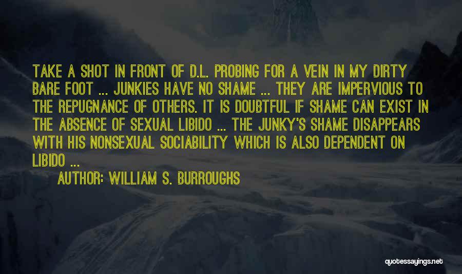 A Dirty Shame Quotes By William S. Burroughs