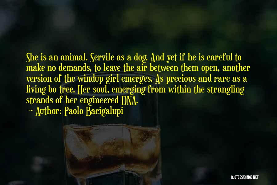 A Dog And A Girl Quotes By Paolo Bacigalupi