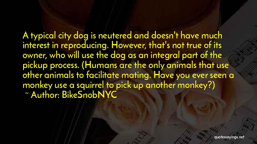 A Dog And Owner Quotes By BikeSnobNYC